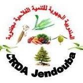 crda-jendouba